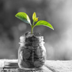green plant sprouting out of black and white jar of coins sitting on a wooden table.